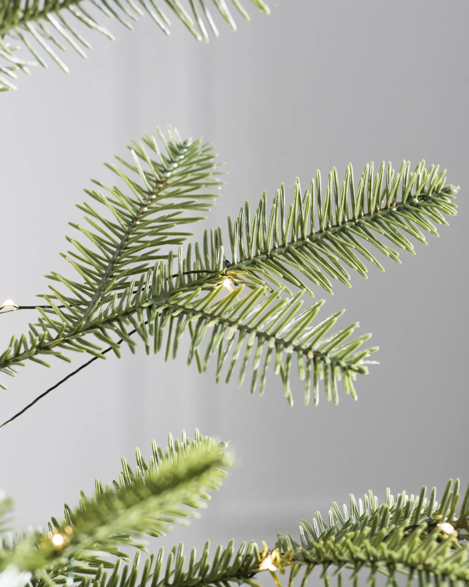 Online Alpine Balsam Fir Tabletop Tabletop & Accent Trees