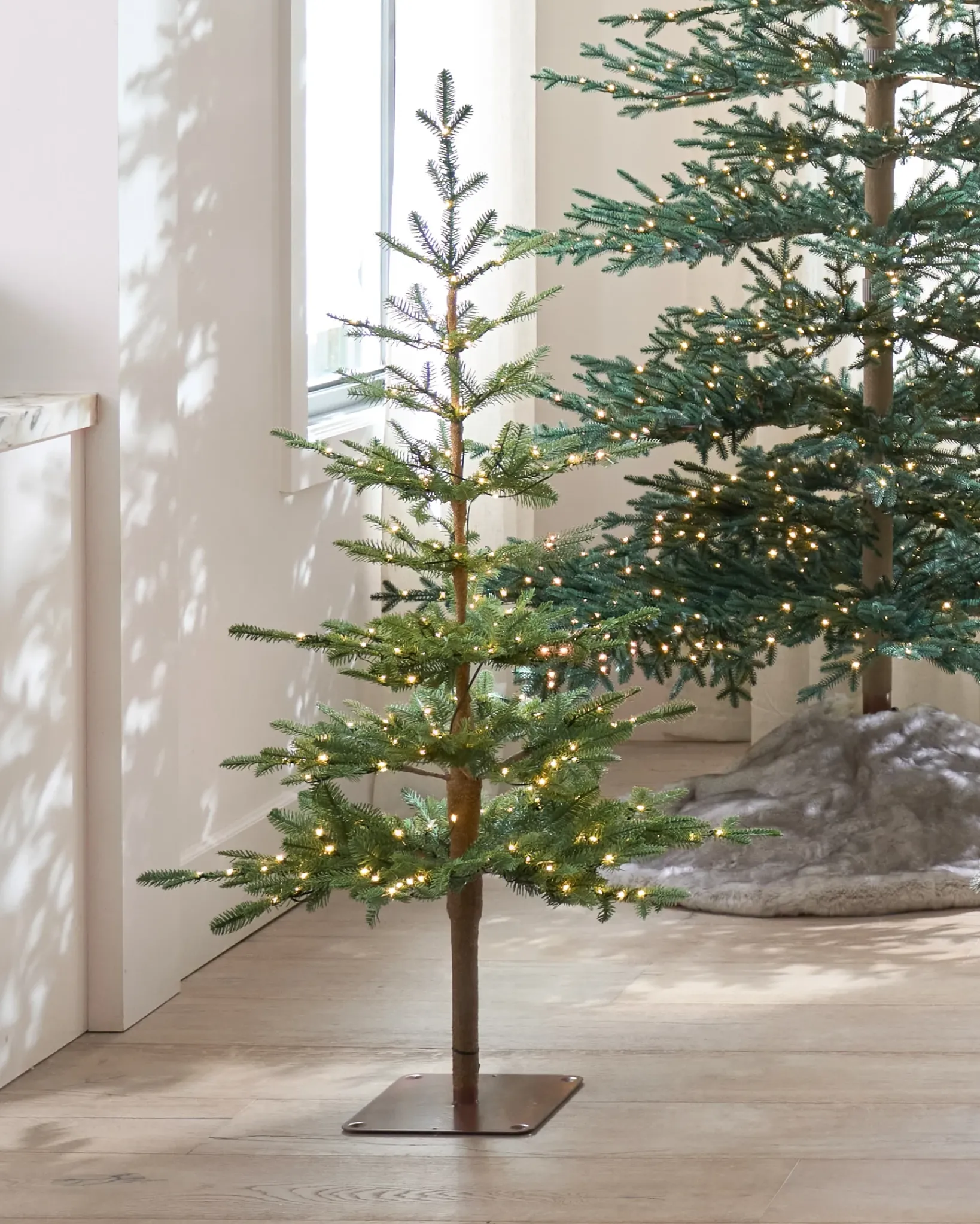 Online Alpine Balsam Fir Tabletop Tabletop & Accent Trees