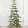 Hot Alpine Balsam Fir Trees 7 - 7.5 Feet|Under 6 Feet