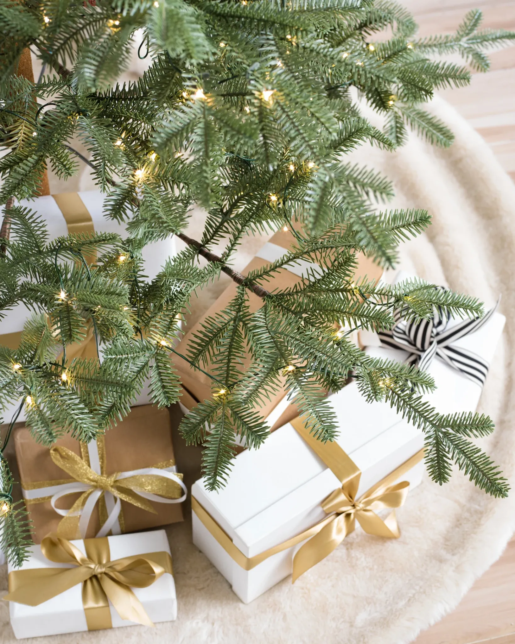 Hot Alpine Balsam Fir Trees 7 - 7.5 Feet|Under 6 Feet