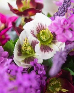 Clearance Amethyst Garden Foliage Wreaths|Flower Arrangements