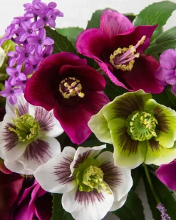 Clearance Amethyst Garden Foliage Wreaths|Flower Arrangements