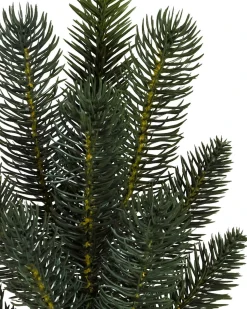 Clearance Aspen Estate Fir® ReNEW™ 7 - 7.5 Feet|8 - 9 Feet