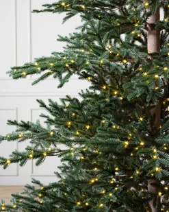 Discount Aspen Silver Fir® ReNEW™ 7 - 7.5 Feet|Pre-Lit