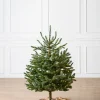 Baby Nordmann Artificial Tabletop Christmas Trees Tabletop & Accent Trees