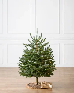 Baby Nordmann Artificial Tabletop Christmas Trees Tabletop & Accent Trees