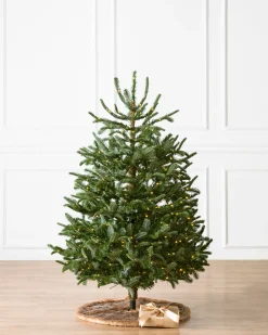 Baby Nordmann Artificial Tabletop Christmas Trees Tabletop & Accent Trees