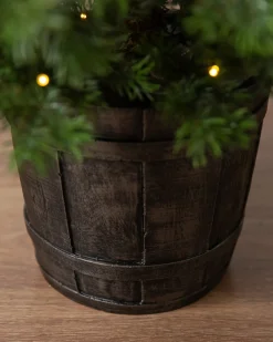 New Baby Yukon Spruce® Potted Trees Outdoor Safe