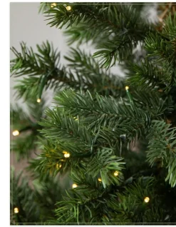 New Baby Yukon Spruce® Potted Trees Outdoor Safe