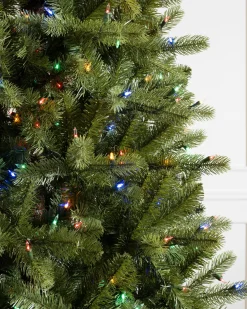 Clearance Bellevue Spruce Trees 7 - 7.5 Feet|Unlit