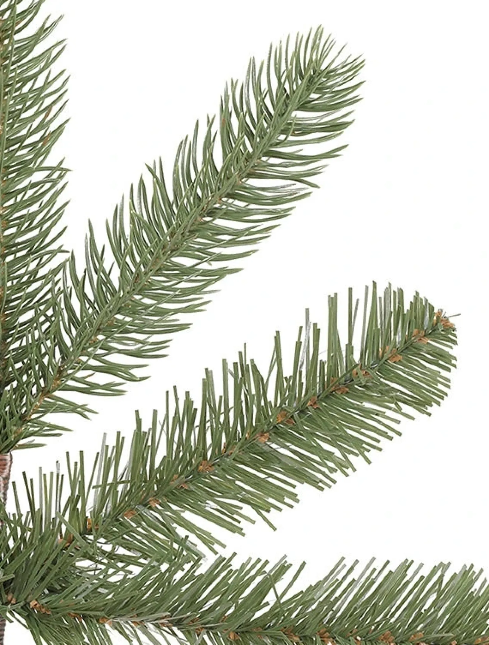 Clearance Bellevue Spruce Trees 7 - 7.5 Feet|Unlit