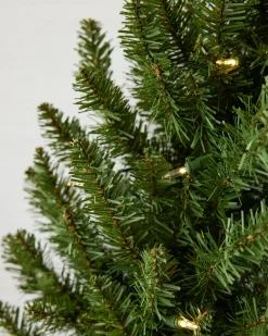 Outlet Berkshire Mountain Fir® Foliage 26 - 28 Inch|30 - 42 Inch