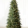 Berkshire Mountain Fir Trees 7 - 7.5 Feet|Under 6 Feet
