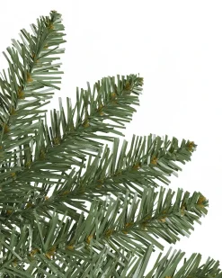 Berkshire Mountain Fir Trees 7 - 7.5 Feet|Under 6 Feet
