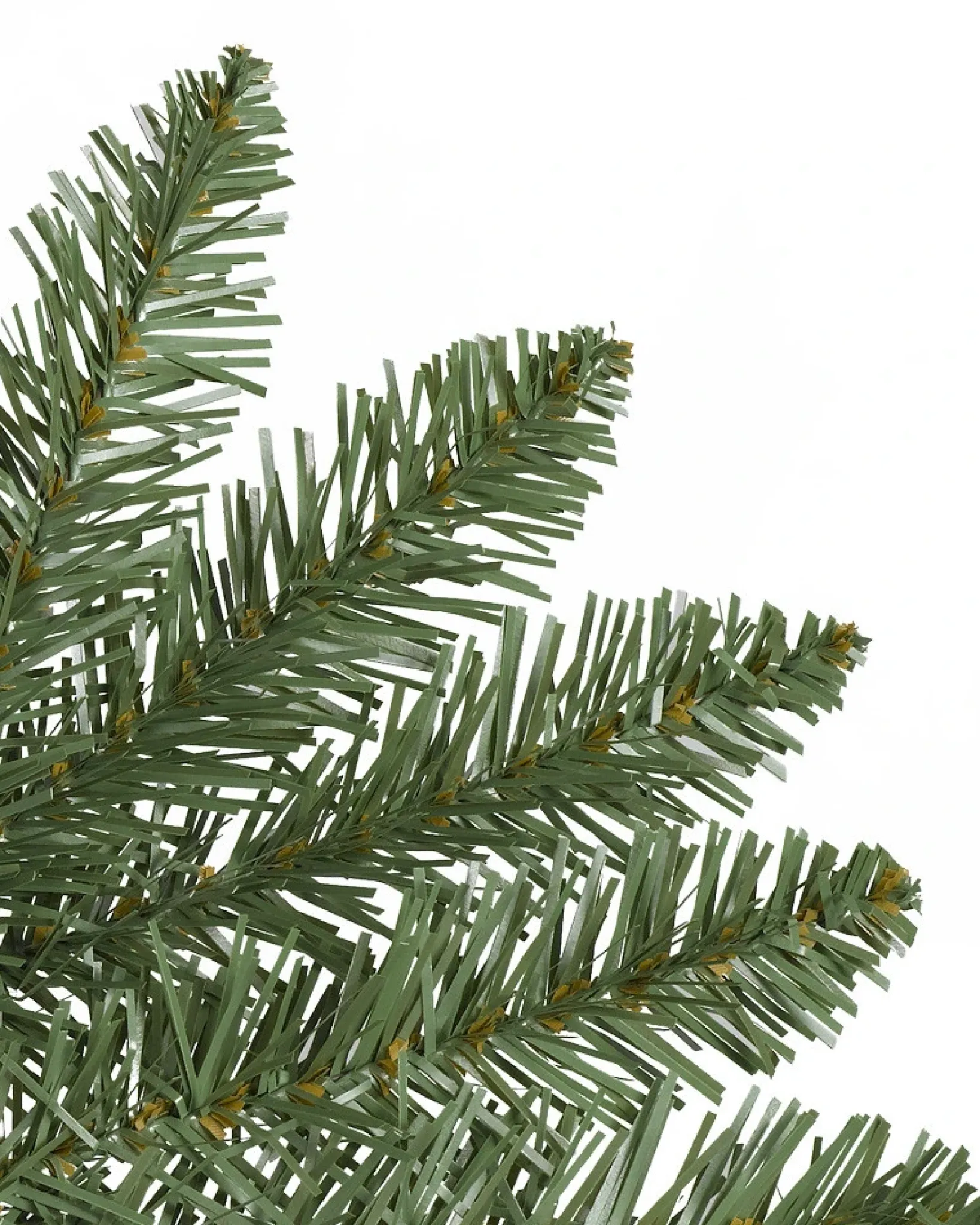Berkshire Mountain Fir Trees 7 - 7.5 Feet|Under 6 Feet