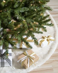 Berkshire Mountain Fir Trees 7 - 7.5 Feet|Under 6 Feet