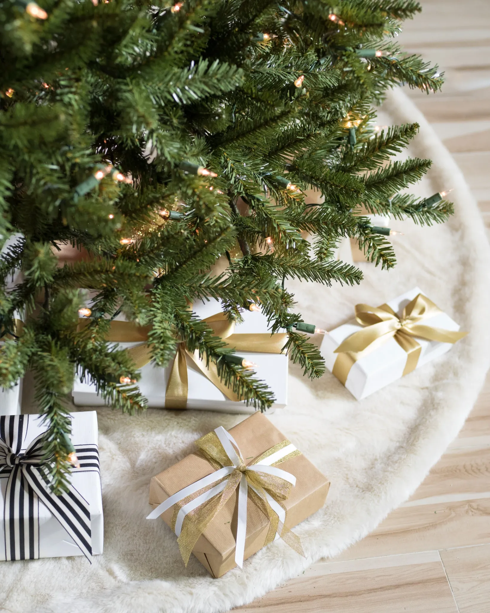 Berkshire Mountain Fir Trees 7 - 7.5 Feet|Under 6 Feet