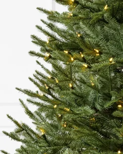 Outlet BH Balsam Fir® ReNEW™ 7 - 7.5 Feet|Pre-Lit