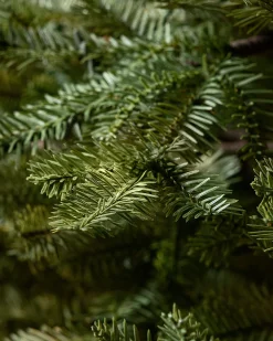 Outlet BH Balsam Fir® ReNEW™ 7 - 7.5 Feet|Pre-Lit