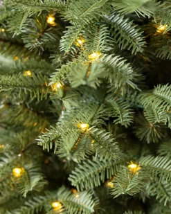 Outlet BH Balsam Fir Tabletop Tabletop & Accent Trees|Gifts For Christmas
