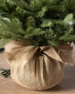 Outlet BH Balsam Fir Tabletop Tabletop & Accent Trees|Gifts For Christmas