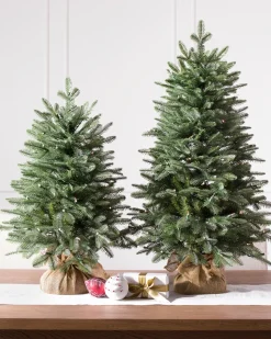 Outlet BH Balsam Fir Tabletop Tabletop & Accent Trees|Gifts For Christmas