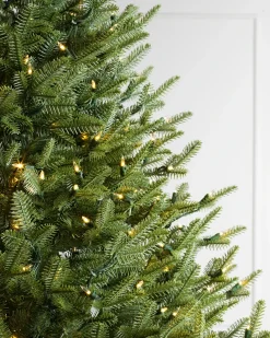 Hot BH Balsam Fir® Trees 7 - 7.5 Feet|Pre-Lit