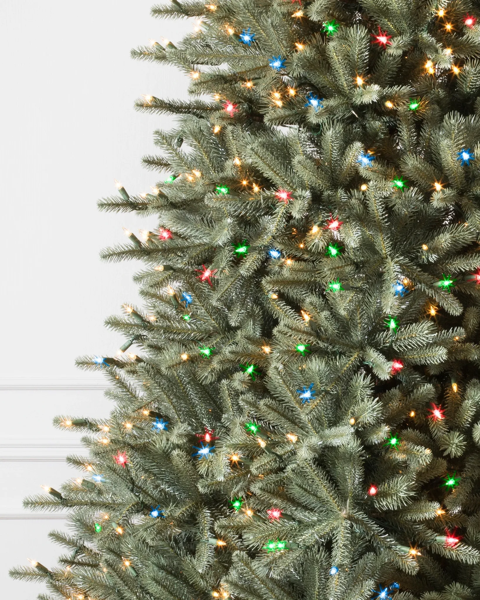 Hot BH Blue Spruce Trees 7 - 7.5 Feet|8 - 9 Feet