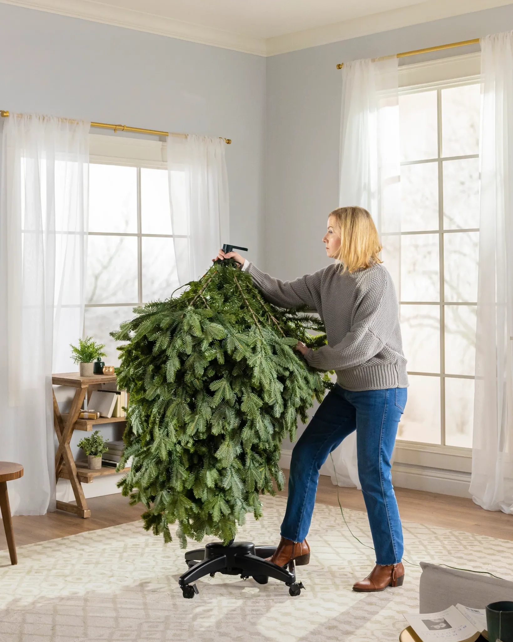 Hot BH Blue Spruce Trees 7 - 7.5 Feet|8 - 9 Feet