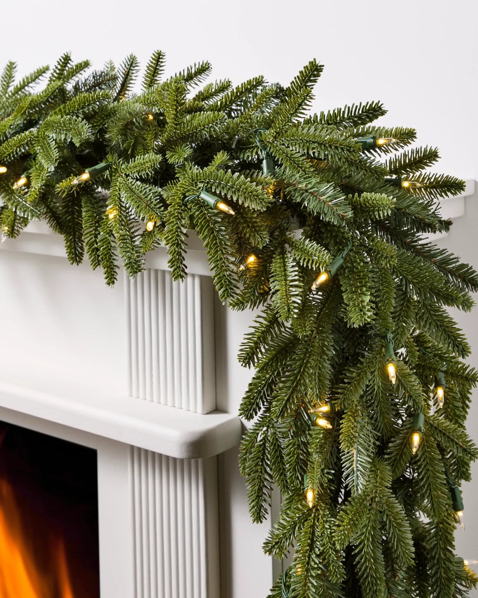 Outlet BH Fraser Fir Foliage 18 - 24 Inch|26 - 28 Inch