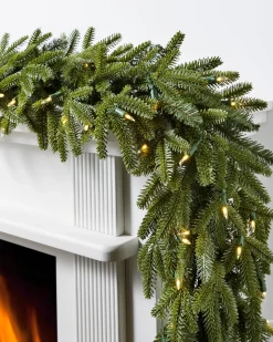 Outlet BH Fraser Fir Foliage 18 - 24 Inch|26 - 28 Inch