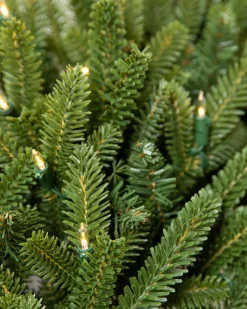 Outlet BH Fraser Fir Foliage 18 - 24 Inch|26 - 28 Inch