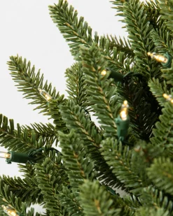 Outlet BH Fraser Fir Foliage 18 - 24 Inch|26 - 28 Inch