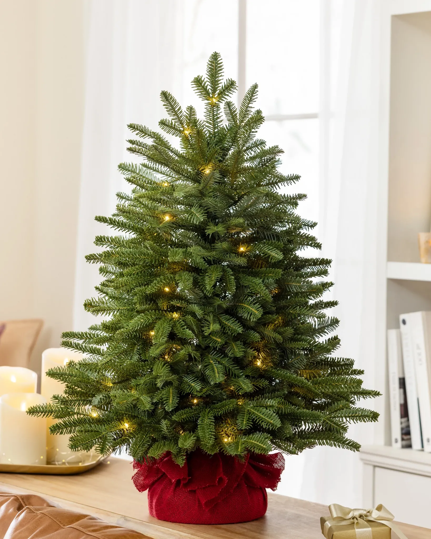 Online BH Fraser Fir® Tabletop Tree Tabletop & Accent Trees