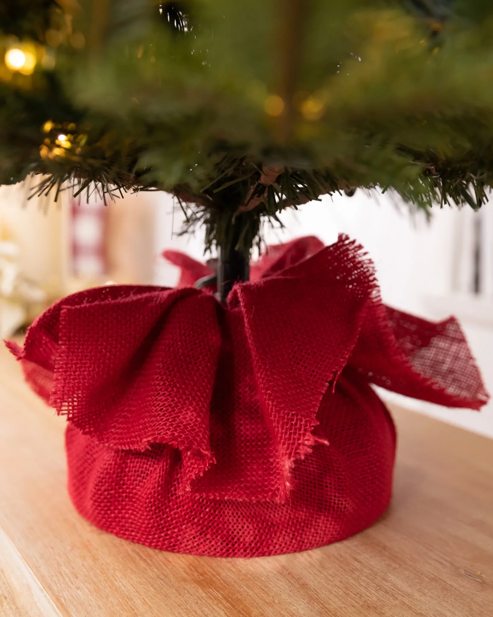 Online BH Fraser Fir® Tabletop Tree Tabletop & Accent Trees