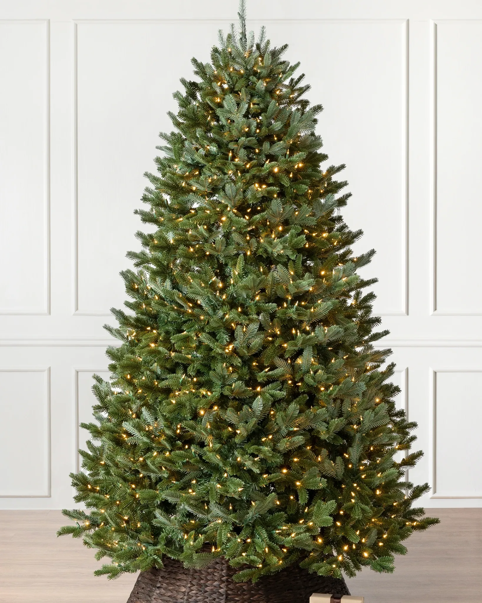 New BH Fraser Fir Trees 7 - 7.5 Feet|7 - 7.5 Feet