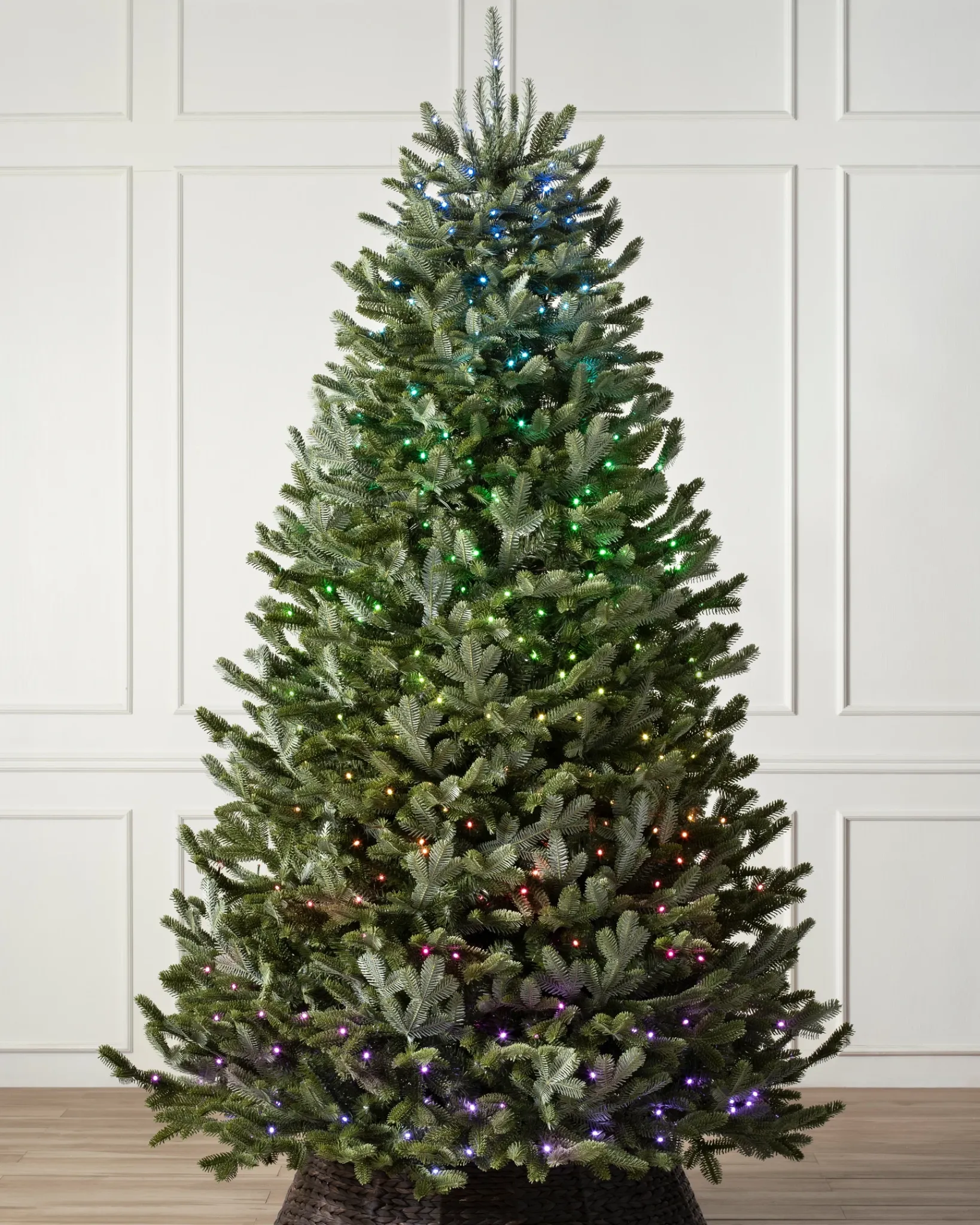 New BH Fraser Fir Trees 7 - 7.5 Feet|7 - 7.5 Feet