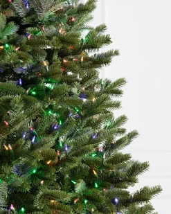 New BH Fraser Fir Trees 7 - 7.5 Feet|7 - 7.5 Feet