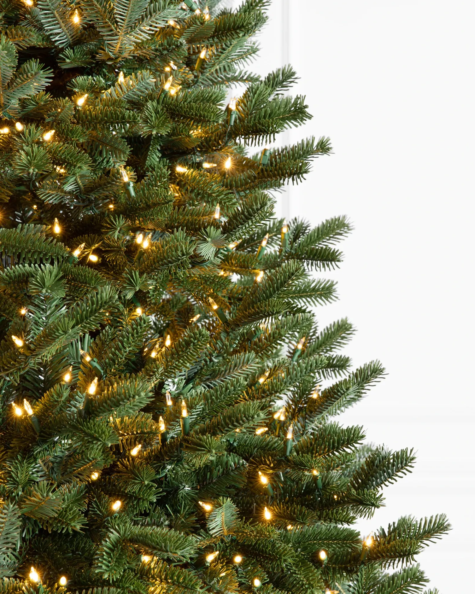 New BH Fraser Fir Trees 7 - 7.5 Feet|7 - 7.5 Feet