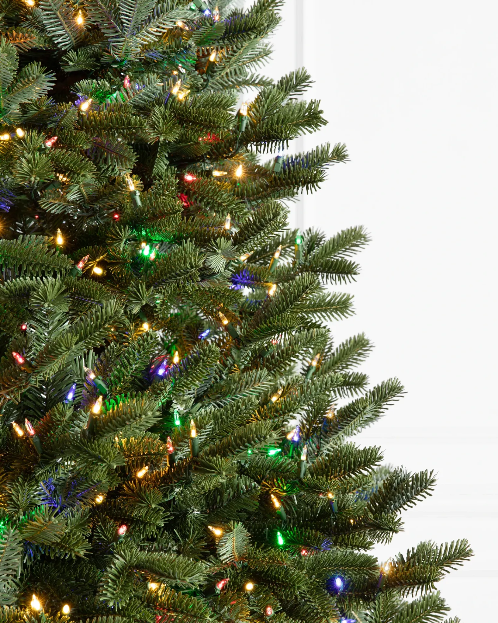 New BH Fraser Fir Trees 7 - 7.5 Feet|7 - 7.5 Feet