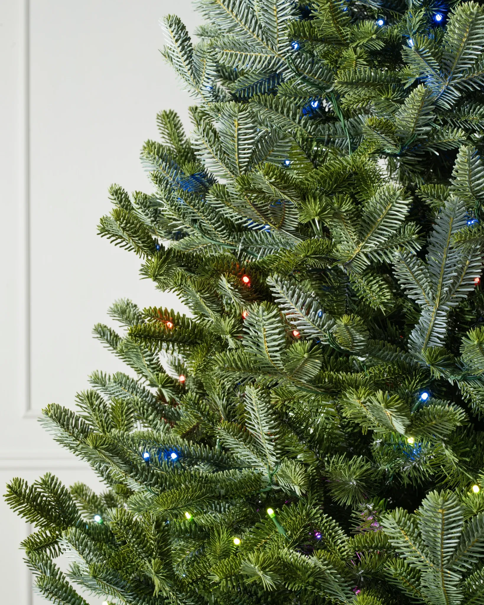 New BH Fraser Fir Trees 7 - 7.5 Feet|7 - 7.5 Feet