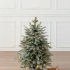 BH Frosted Balsam Fir® Tabletop Trees Tabletop & Accent Trees