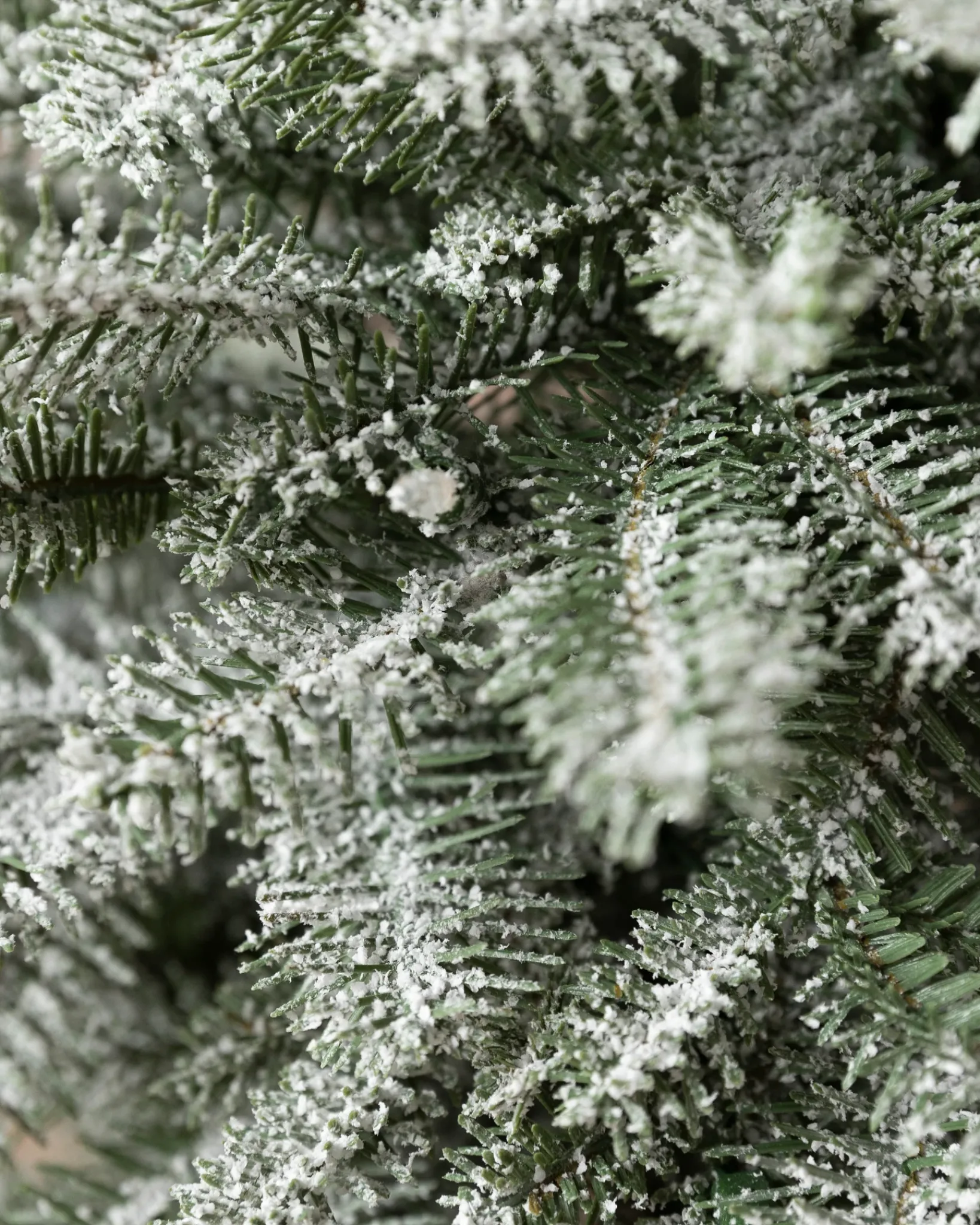 BH Frosted Balsam Fir® Tabletop Trees Tabletop & Accent Trees