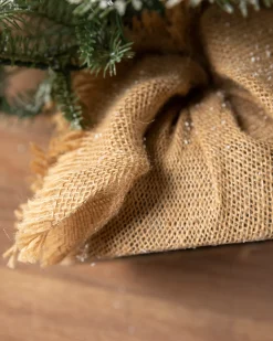 BH Frosted Balsam Fir® Tabletop Trees Tabletop & Accent Trees
