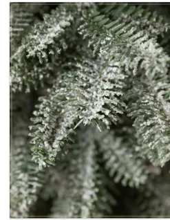 BH Frosted Balsam Fir® Tabletop Trees Tabletop & Accent Trees
