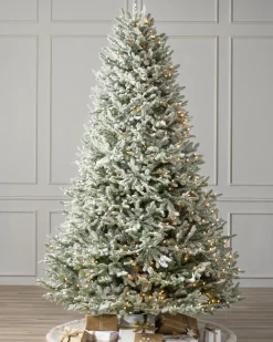 Hot BH Frosted Balsam Fir Trees 7 - 7.5 Feet|6 - 6.5 Feet