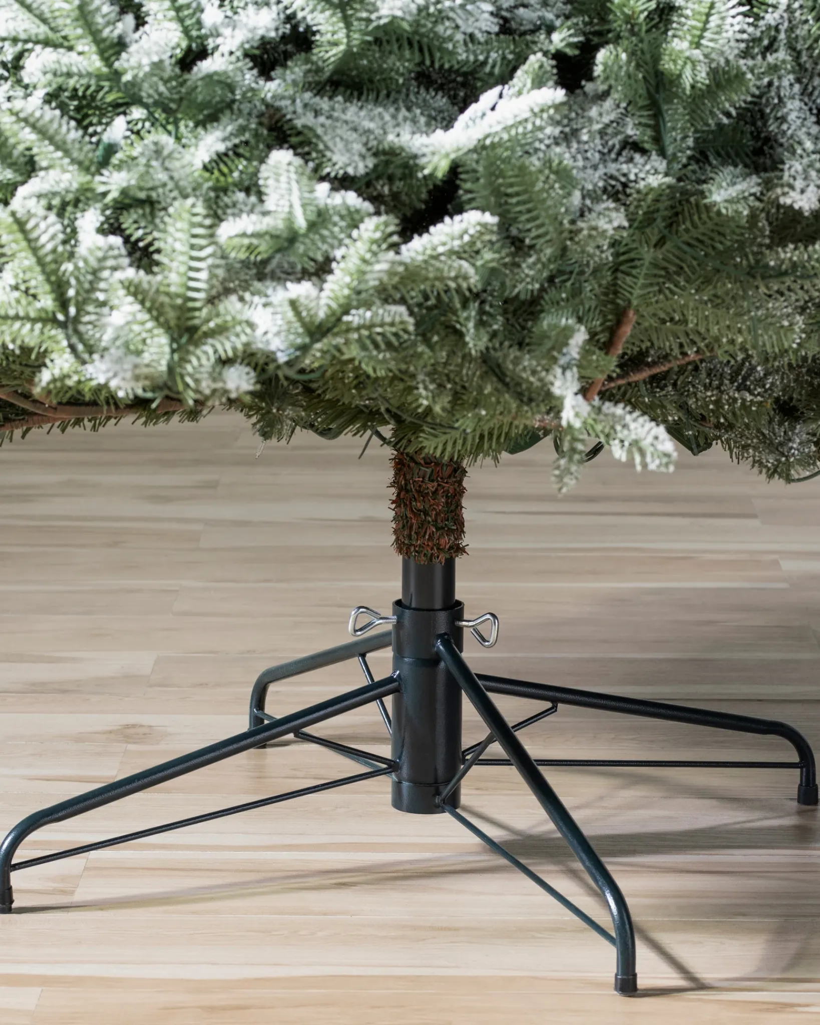Hot BH Frosted Balsam Fir Trees 7 - 7.5 Feet|6 - 6.5 Feet