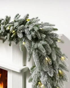 BH Frosted Fraser Fir® Foliage 5 - 7 Feet|Pre-Lit