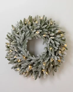 BH Frosted Fraser Fir® Foliage 5 - 7 Feet|Pre-Lit