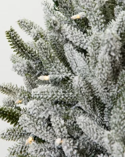 BH Frosted Fraser Fir® Foliage 5 - 7 Feet|Pre-Lit